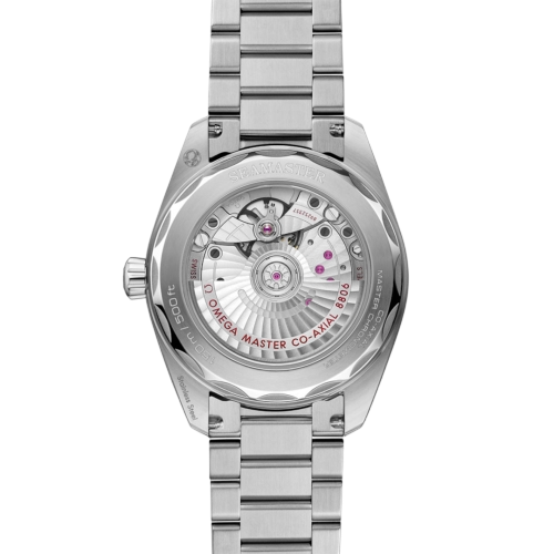 Omega Seamaster Railmaster Automatic 38mm Grey Dial Watch