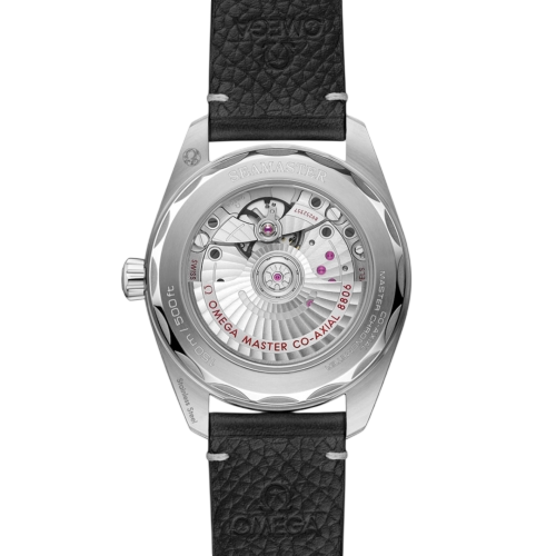 Omega Seamaster Railmaster Automatic 38mm Grey Dial Strap Watch