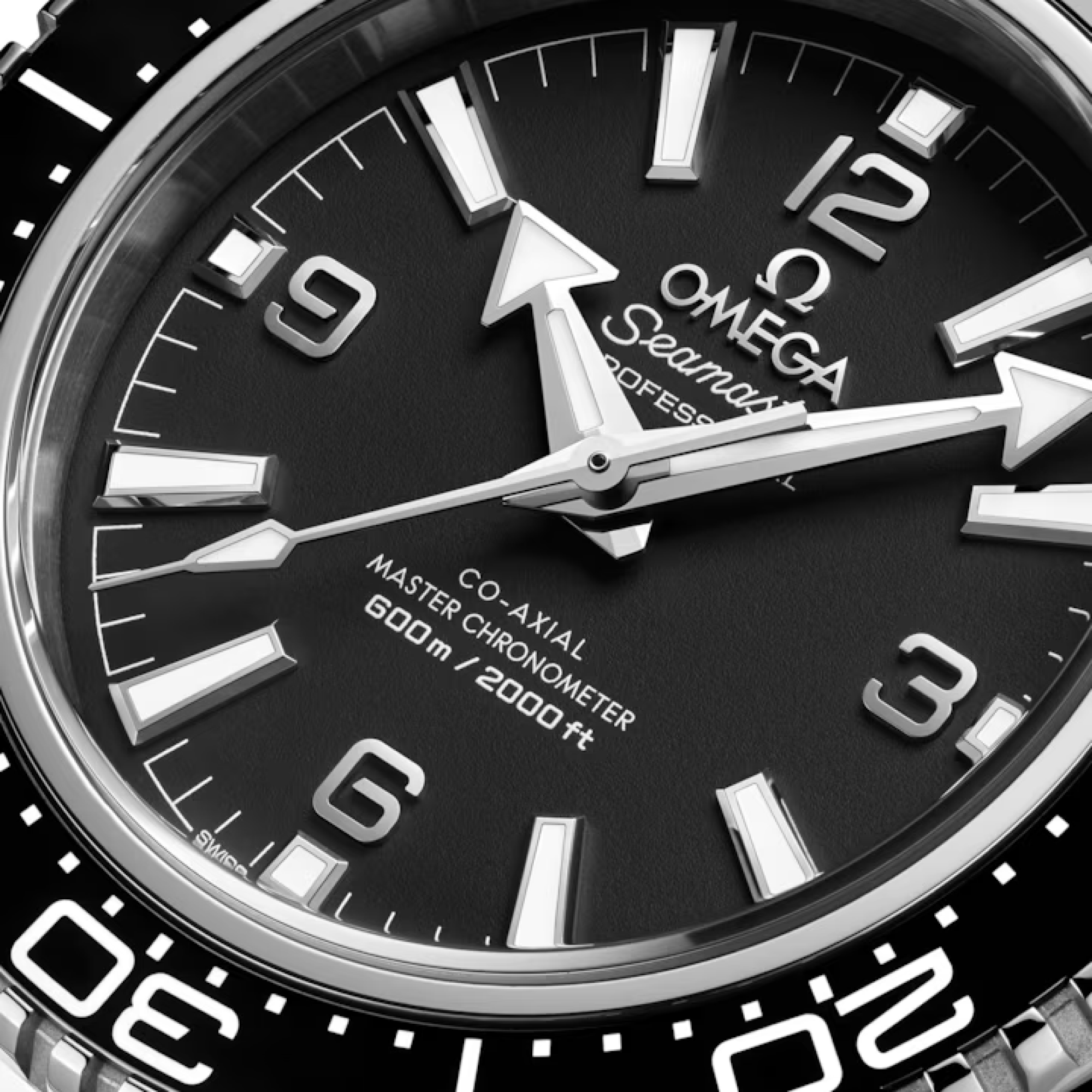 Omega Planet Ocean 600M Co-Axial Master Chronometer Rubber